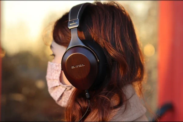Sivga Robin SV021 Headphones - Bassheads United Winner — Audiophile Heaven
