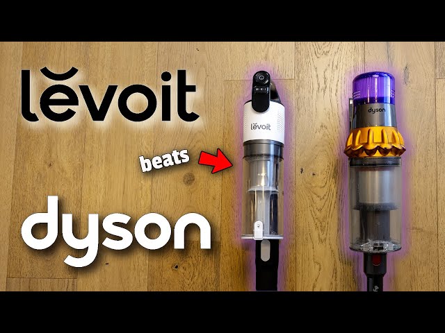 Can Levoit Actually Beat Dyson? Budget vs Expensive