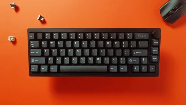 Budget keyboards are going crazy! - Epomaker P65