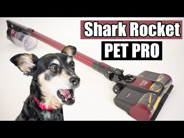 The ULTIMATE Pet Hair SLAYER!! - Shark Rocket PET PRO Cordless Stick Vacuum