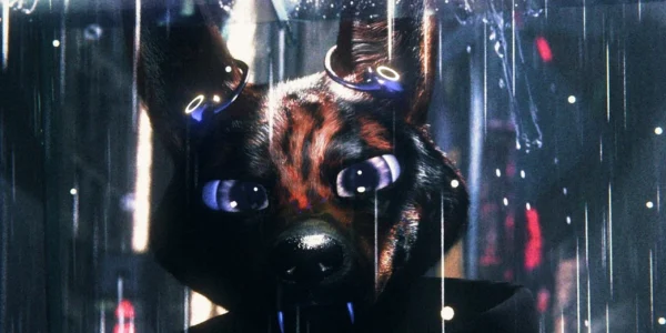 Could "Bouchra" Qualify For Best Animated Feature? A Look At The Moroccan Film That Blurs The Line Between Live Action...
