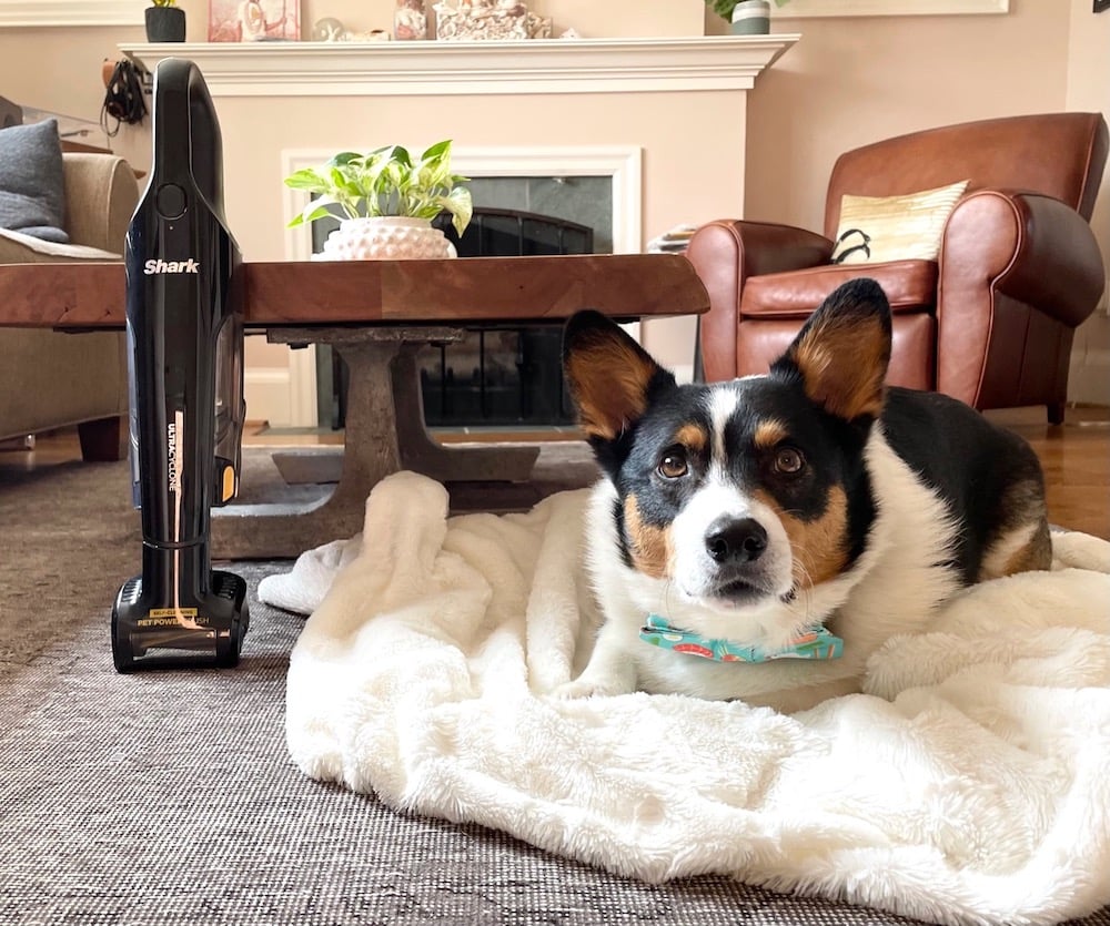 Review: Shark UltraCyclone Pet Pro+ Hand Vac