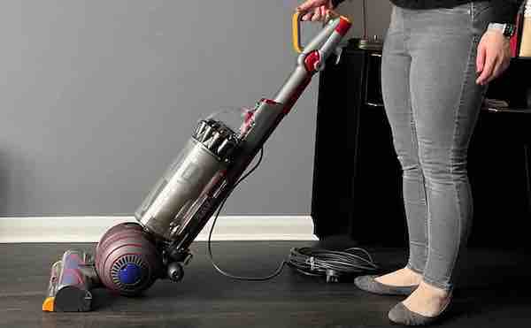 Dyson Ball Animal 2 review