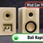 Testing Dali Kupid Speakers—Are They Worth It?