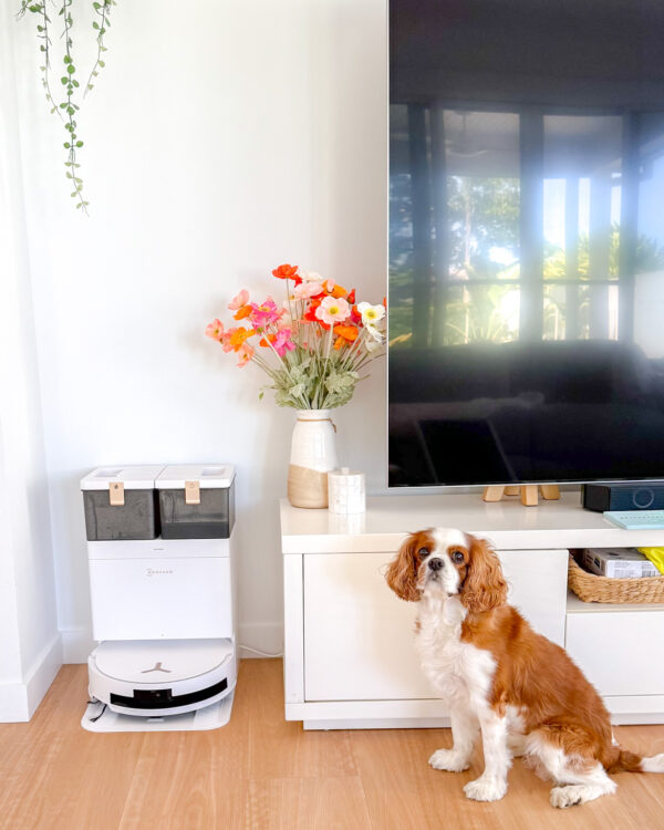 DEEBOT T50 MAX PRO OMNI Review: Powerful, Smart, and Great for Pet Hair