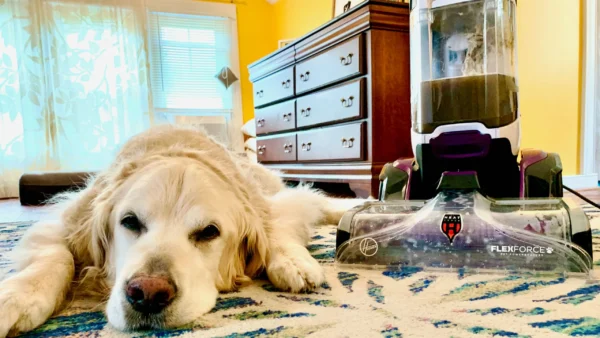Hoover SmartWash Pet Complete Carpet Cleaner Gets Dirty