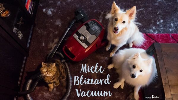 Coming Clean - The Miele Blizzard Vacuum
