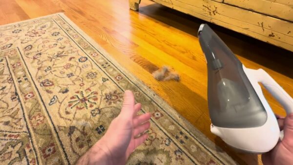BLACK+DECKER dustbuster Cordless Handheld Vacuum Review