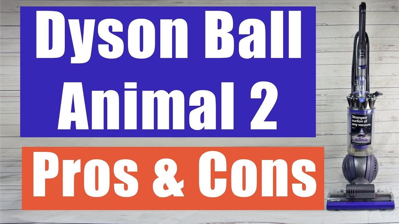 Dyson Ball Animal 2 Review PROS and CONS