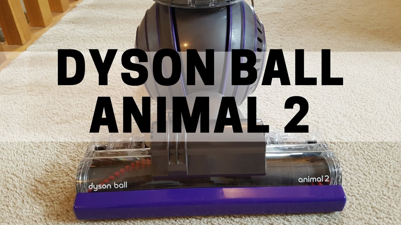 Dyson Animal 2 Unboxing and Demo