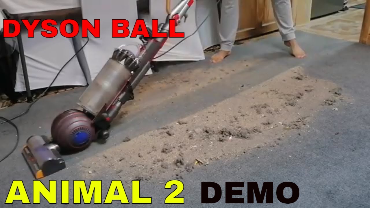 DYSON BALL ANIMAL 2 VACUUM CLEANER UP24 - FIRST LOOK, DEMONSTRATION AND TESTING
