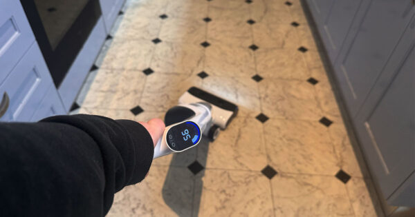 Roborock Flexi Pro Wet and Dry review: Flexxing on Dyson