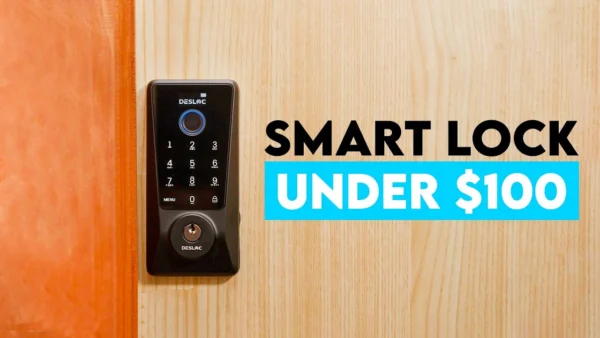 Desloc D110 Plus Review - Best Budget Smart Lock?