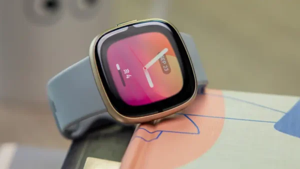 Fitbit Sense 2 review: Stressed out