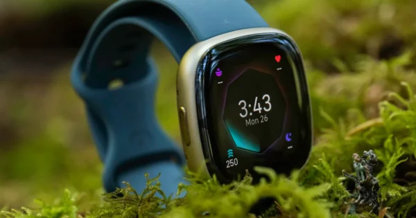 Fitbit Sense 2 review: A smart way to focus on fitness