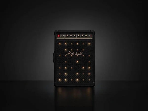 Marshall Bromley 450 is a Compact Party Speaker