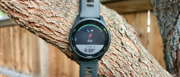 Garmin Forerunner 255 review: Unstoppable excellence