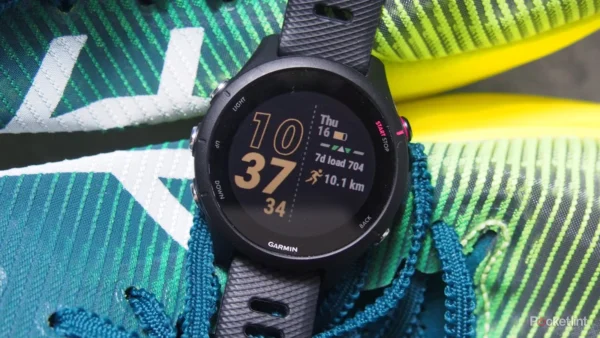 Garmin Forerunner 255 review: A multi-sport marvel