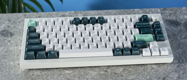 Keychron Q1 HE review: Gaming perfection