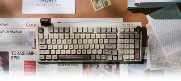 Epomaker RT100 Mechanical Keyboard Review - digitalchumps