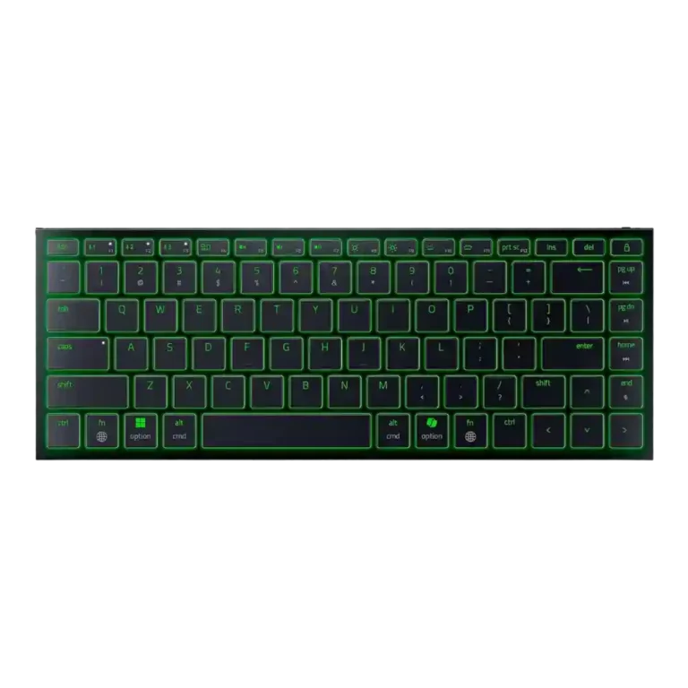 Razer Joro