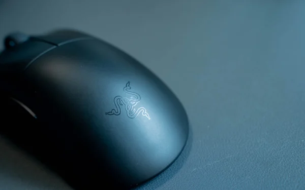 Razer DeathAdder V3 review: FPS delight - Can Buy or Not
