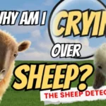 The Sheep Detectives Made Me Cry