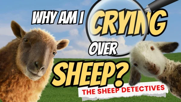The Sheep Detectives Made Me Cry