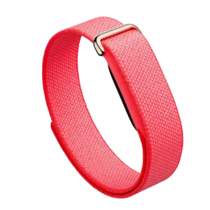 Fitbit Air