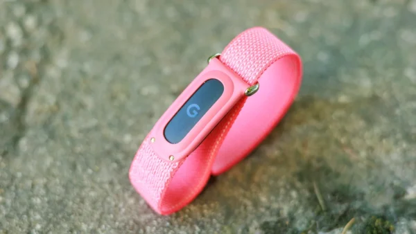 Fitbit Air Review