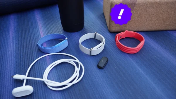 Fitbit Air review: A cozy wearable with a promising (yet highly ambitious) app