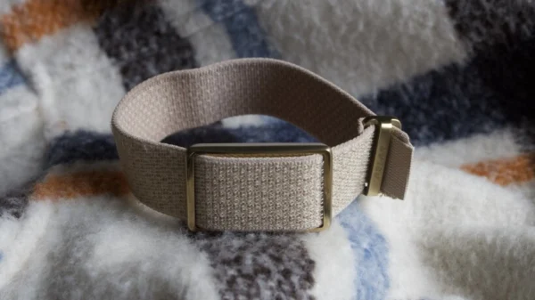 Polar Loop (Gen 2) review: Lost in the shuffle