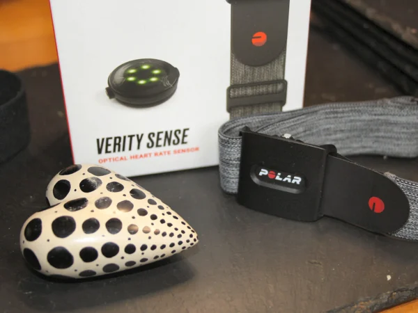 Polar Verity Sense Review | the best, in detail