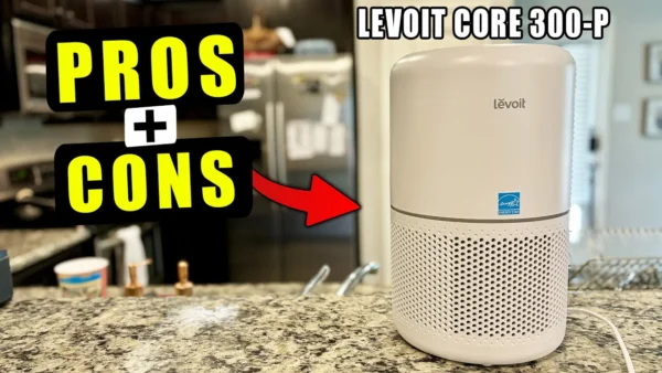 Pro & Cons of Levoit Core 300-P