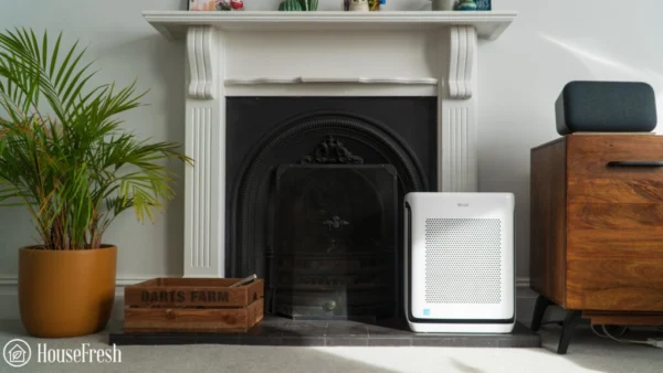 Levoit Vital 200S review — excellent value for money