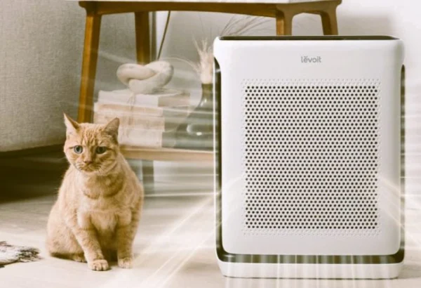 Levoit Vital 200S Air Purifier: Trusted Review In 2026
