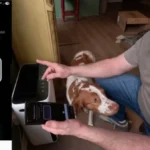 LEVOIT Air Purifier Vital 200S Unboxing and Setup