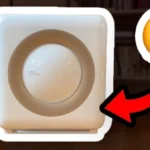 What I Wish I Knew About The Coway Airmega AP-1512HH Before Buying (Quick & Honest)