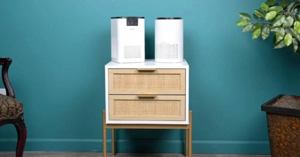 Aroeve MK01 vs MK06 | Vacuum Wars