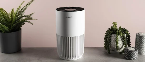GoveeLife Smart Air Purifier Lite review: smart, swell, and it purifies well