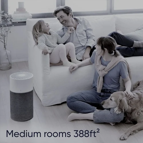 Blue Pure 311 Auto Air Purifier: Trusted Review In 2026
