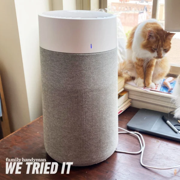 Why the Blueair Air Purifier Is the Best: Our Honest Review