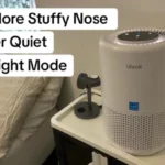 Check Out This Levoit Core 200S Air Purifier