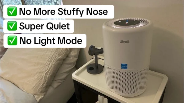 Check Out This Levoit Core 200S Air Purifier
