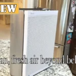 LEVOIT EverestAir Air Purifier Review - See Before You Buy