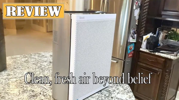 LEVOIT EverestAir Air Purifier Review - See Before You Buy