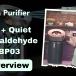 Dyson Big and Quiet Air Purifier BP03 Overview