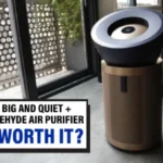 Dyson Big and Quiet + Formaldehyde Air Purifier Review: The Best Air Purifier for VOCs?