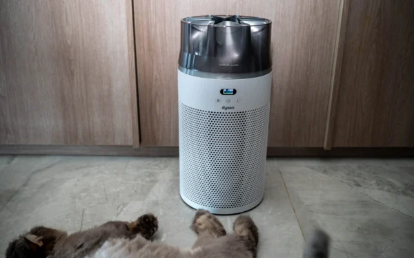 Dyson HushJet Purifier Compact HJ10 review: Mighty small - Can Buy or Not