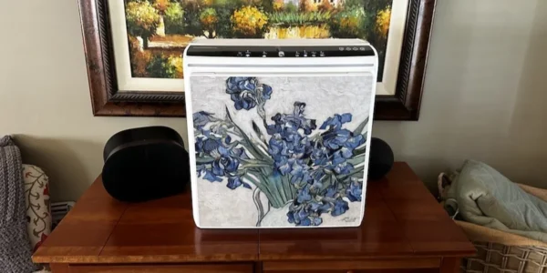 Transform your home’s air quality with the Rabbit Air A3 Ultra Quiet Air Purifier! 🌬️